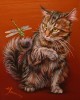 Кот Филя.