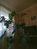 Возвращение из Христианского странничества в мирскую жизнь (рассказ из жизни)