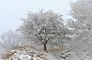 Во всех ты, Душенька, нарядах хороша!