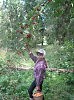 Грибная  охота