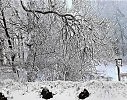 За полчаса до весны