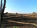 Сельская весна