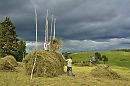 СЕНОКОС  (сборник ДЕРЕВЕНСКИЕ ЗАРИСОВКИ)