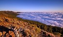 Берег тумана
