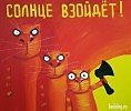 О'Ранжевый блюз