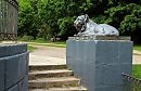 В парке