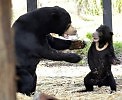 ПАРОДИЯ: Просто мне писать охота…