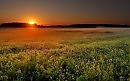 Утренняя зарисовочка.