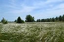 Вносит осень коррективы