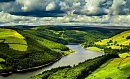 Смотрю на мир