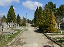 Городское   кладбище   Ивано - Франковска