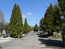 Городское   кладбище   Ивано - Франковска