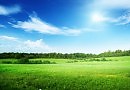 Тень облака