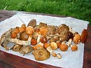 ПЕРВЫЙ РАЗ ЗА ГРИБАМИ