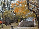 Сказки старого парка