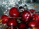Черешня (муз., исп.Олег Царегородцев, сл.О.Михайлова)