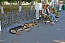 Суббота. Заслуженный отдых.