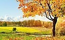 ОСЕННИЙ СУМРАК И ПРОХЛАДА ст. Аллы Должиной, муз. Владимира Балясова, исполнение Людмилы Поляковой