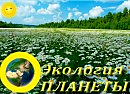Пожалуйста, представьте себя на МЕСТЕ нашей родной ПЛАНЕТЫ или самой Природы!