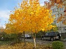 Городской пейзаж осенний...
