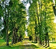 Аллея Мцыри