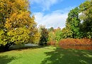 Краски осени