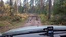 Поздняя осень
