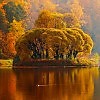 ПОСВЯЩАЮ ОСЕНИ