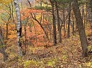 Осенние краски