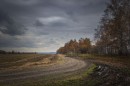 ОСЕНЬ