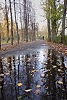Подорожное