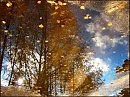 Осень поздняя