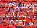 Freedom never dies