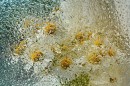 Капельки света
