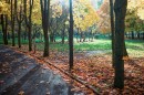 осень