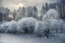 ЗИМА