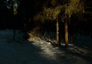 Двое (отредактировано)