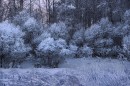 ЗИМА