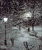 Снег в декабре?