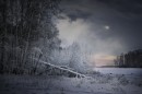 ЗИМА