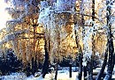 Зимнее утро