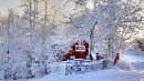 МАЛЕНЬКИЙ ДВОРИК ПОД ЛИПАМИ СКРЫТ