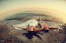 Любовь   начать  -  Сначала!!!   Текст