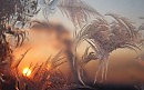 Новогоднее настроение.
