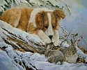 Постой же пурга(охотничья байка)