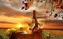 сл.Ангелина Лысенко *Ночная поступь звёзд....* муз.исп. Александр Козырев