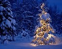 Предновогодняя