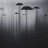 КВАНТОВЫЙ МИР ЯДОВИТЫЕ ЗОНТЫ ПОДЛИННИК АРХАНГЕЛА АДА