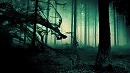 то есть исчезает компанент борьбы ума а одиночество и страх не купируются но парализуют душу а иллюзия становтся явью