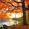Anfermond - Nature
